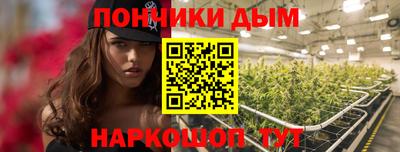крисы Кингисепп