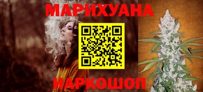 крисы Кингисепп