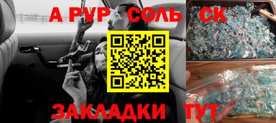 крисы Кингисепп