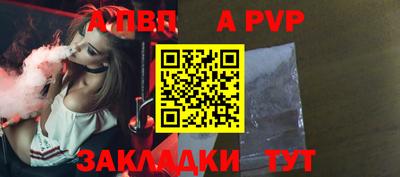 крисы Кингисепп