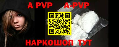 крисы Кингисепп