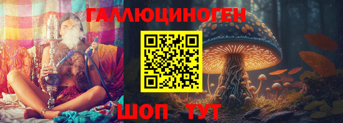 Куйбышев  сколько стоит  Вход с VPN  Псилоцибиновые грибы ЛСД 
